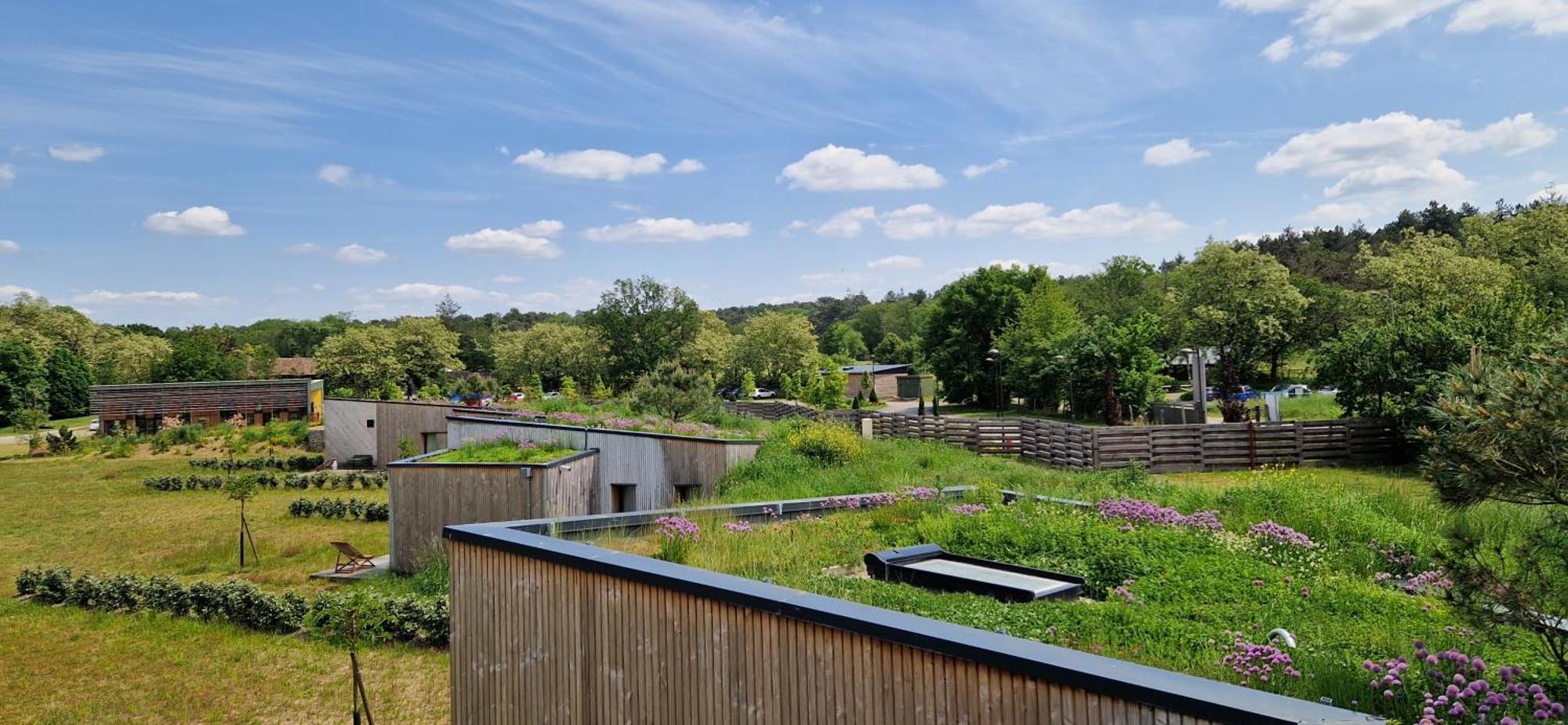 Domaine De L'Epau Eco-Resort Yvré-lʼÉvêque Eksteriør bilde